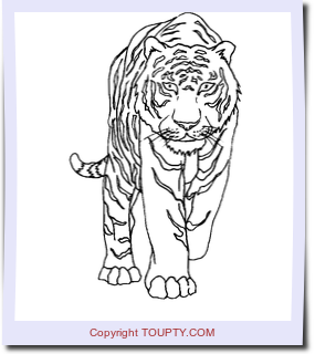 Coloriage Lion Qui Chasse  Ronnie