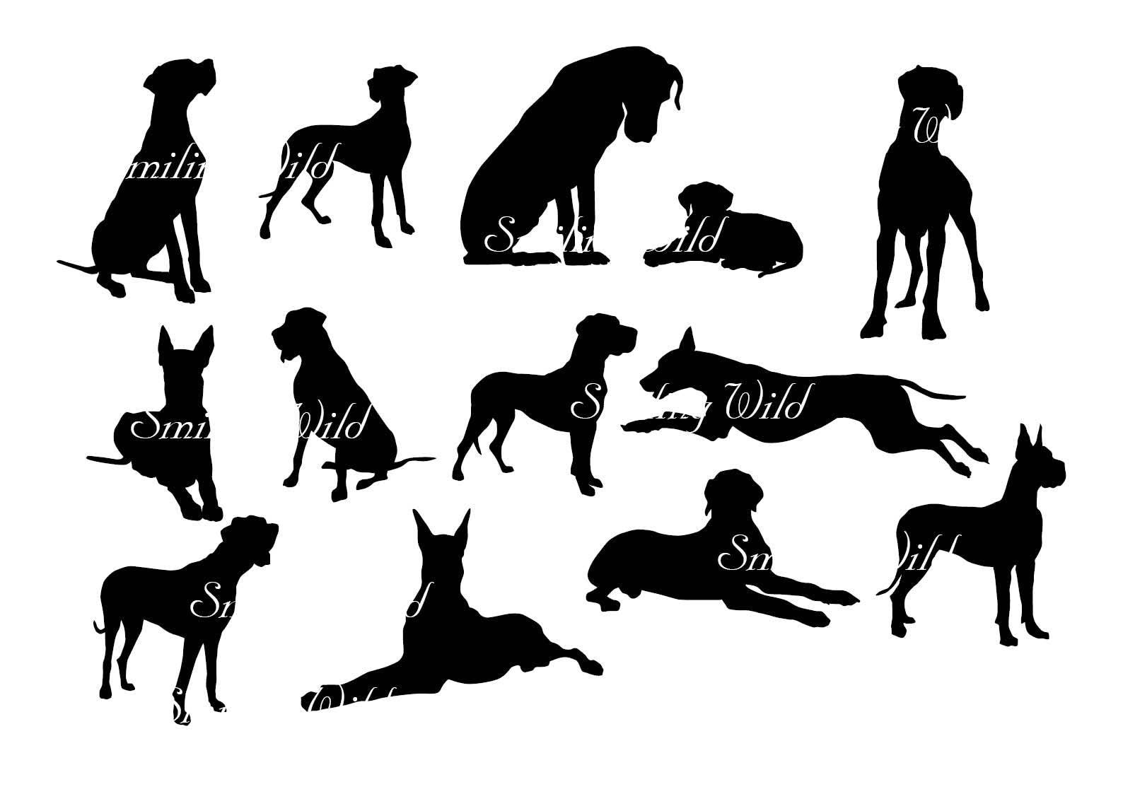 Free Mastiff Svg - 264+ SVG PNG EPS DXF in Zip File