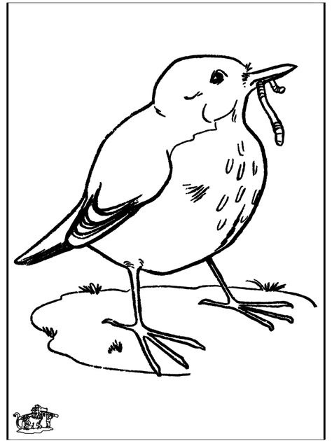 Ausmalbilder Vögel Im Winter - Steven Burke Schule