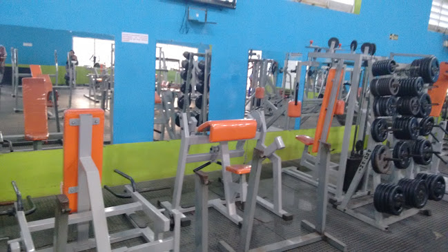Academia Impacto