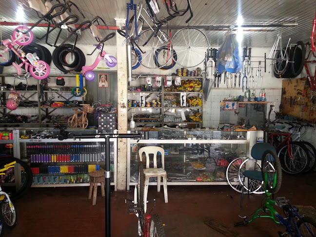 Ciclo Carlão