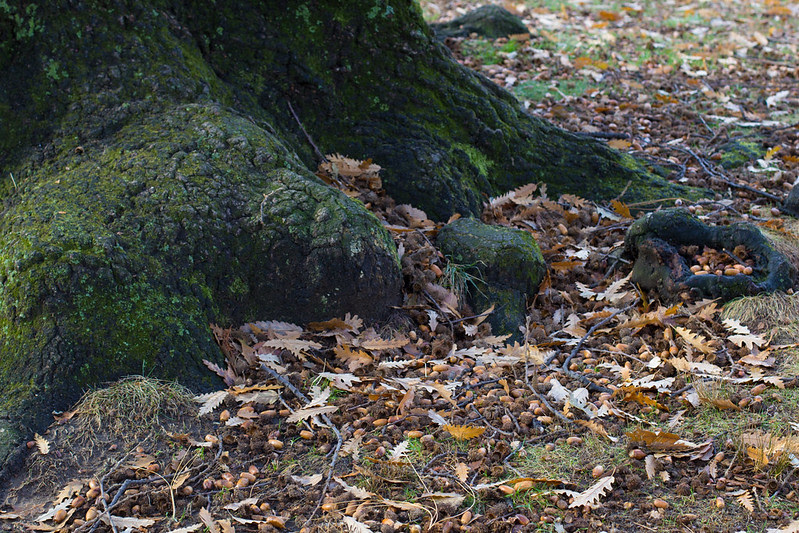 NYC_Winter_Walk_11.jpg
