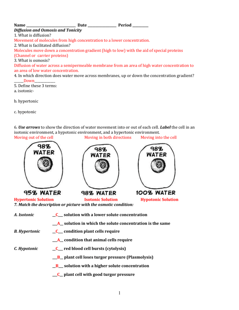29-cell-membrane-and-tonicity-worksheet-answer-key-worksheet-resource-plans