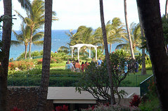 Kauai Day1 (13)