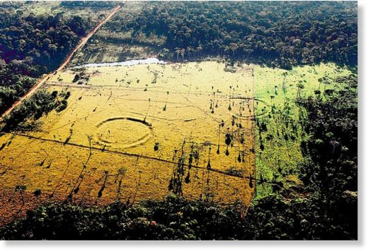 Clic para aumentar geoglifos en Amazonia 2