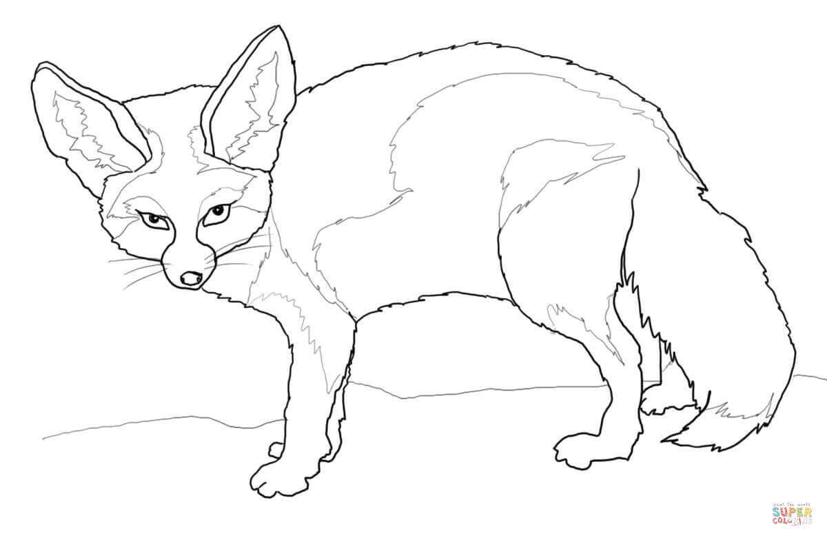 Meilleur De Animaux Du Sahara Coloriage  30000 ++ collections de pages