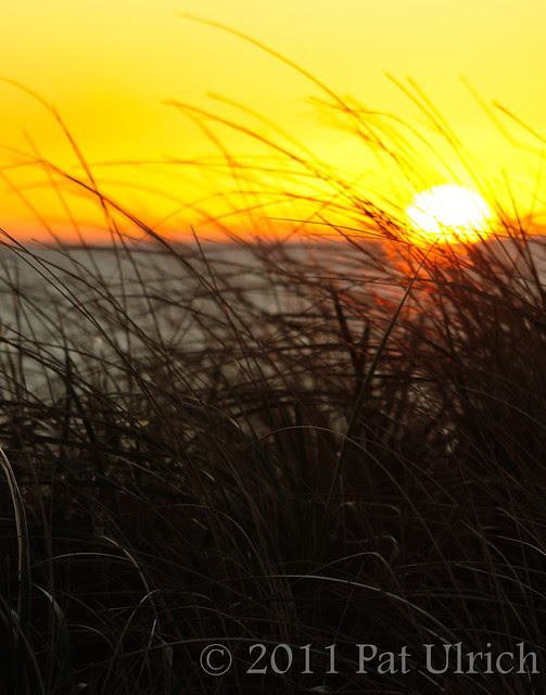 First sunrise in Massachusetts - Pat Ulrich Wildlife Photography