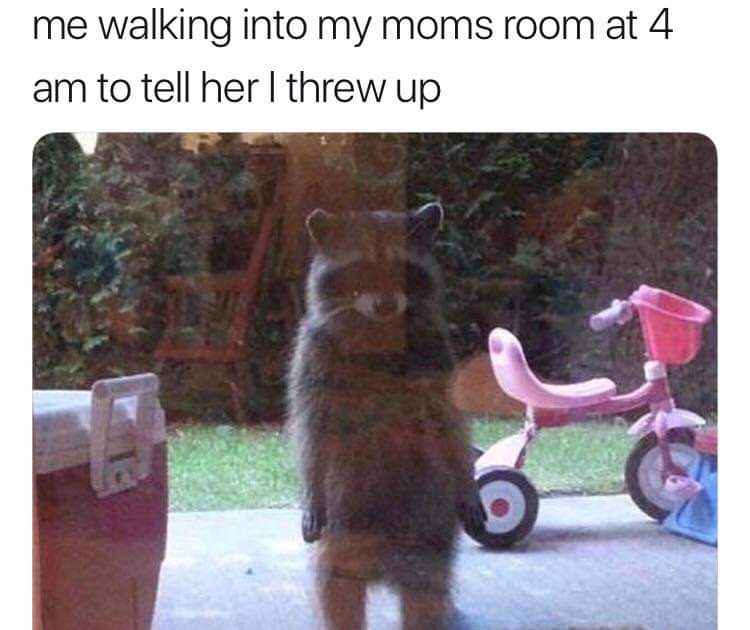 Me Waiting To Tell My Mom I Threw Up Meme - MESJEME