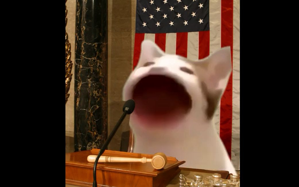 Popcat Meme - Cat Meme Cake Pops : cat cake pops : We all knew it was