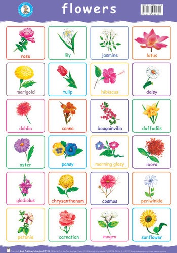 All Flowers Name In Hindi With Pictures - Flower