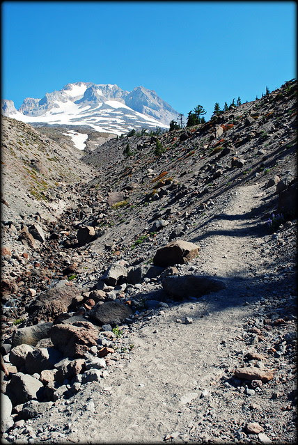 Little Zigzag Canyon along the Timberline Trail / PCT headed to Paradise Park