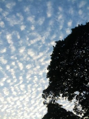 The sky at home. Image by ahmedur Rashid Tutul.