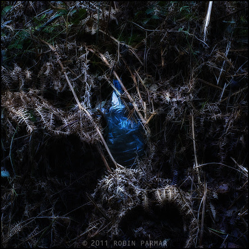 Myths of the New Forest: Detritus #28825