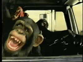 photo laughingchimps_zpsjnuxovhn.gif