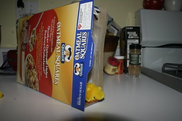 Cereal