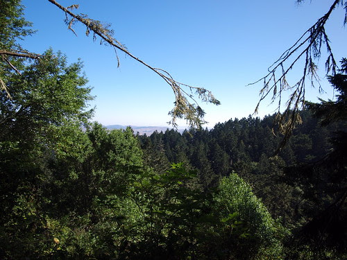 View from Sky Trail