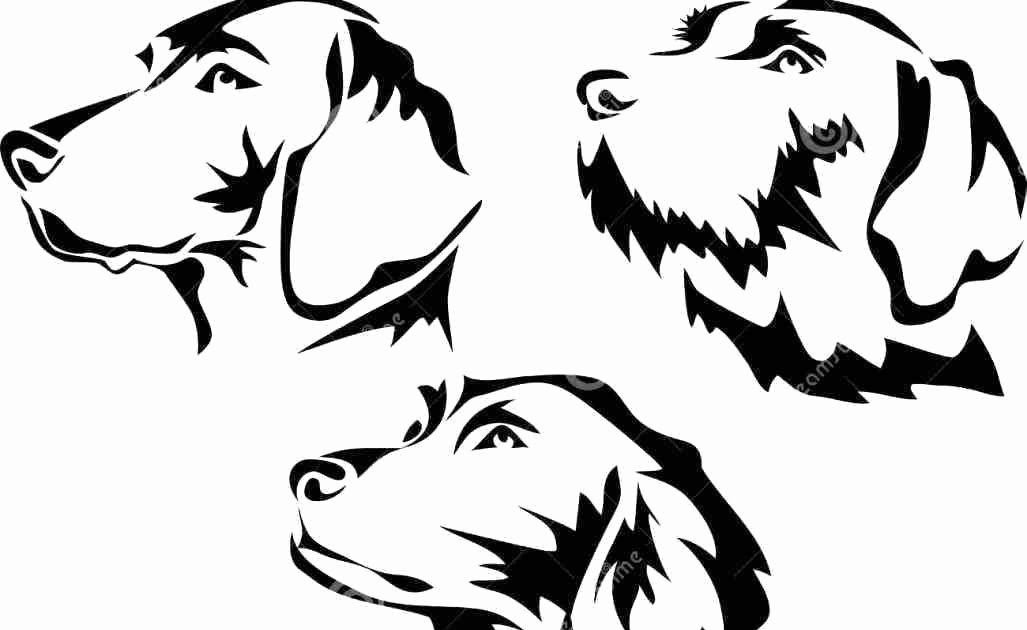 17 Australian Shepherd Coloring Pages - Printable Coloring Pages