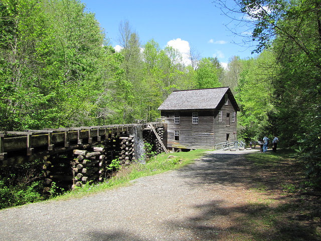 IMG_4859_Mingus_Mill