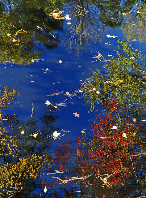 Canal Reflections (8)