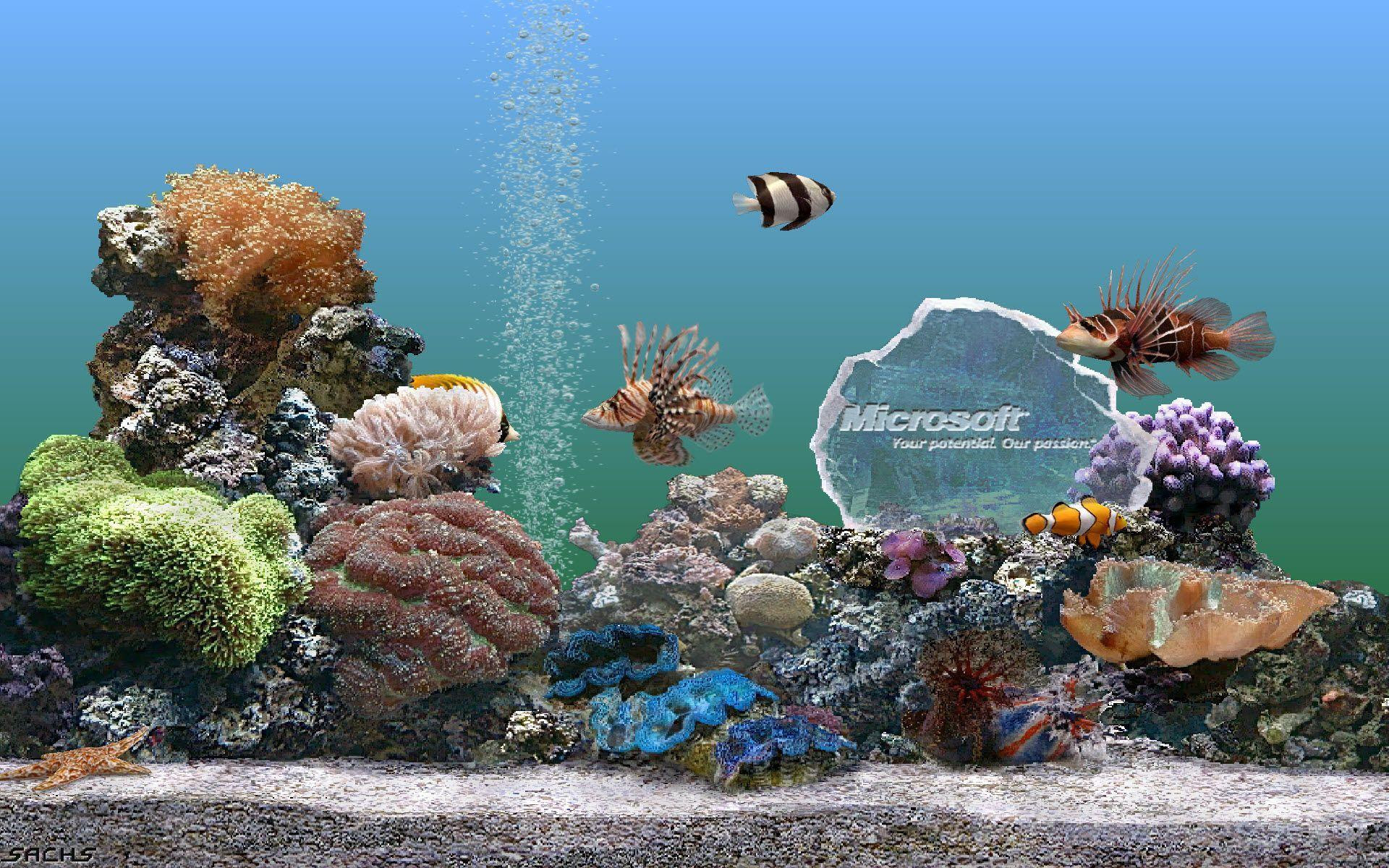 Free Desktop Screensavers And Wallpapers Microsoft Wallpaper and
