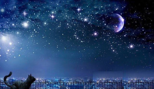 Japan Image 夜空 イラスト 綺麗