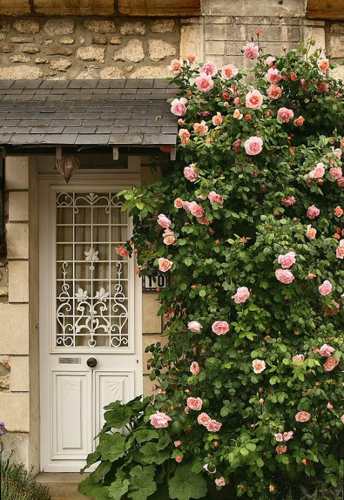 charmingages:
onlycutes:
(via myfotolog)
