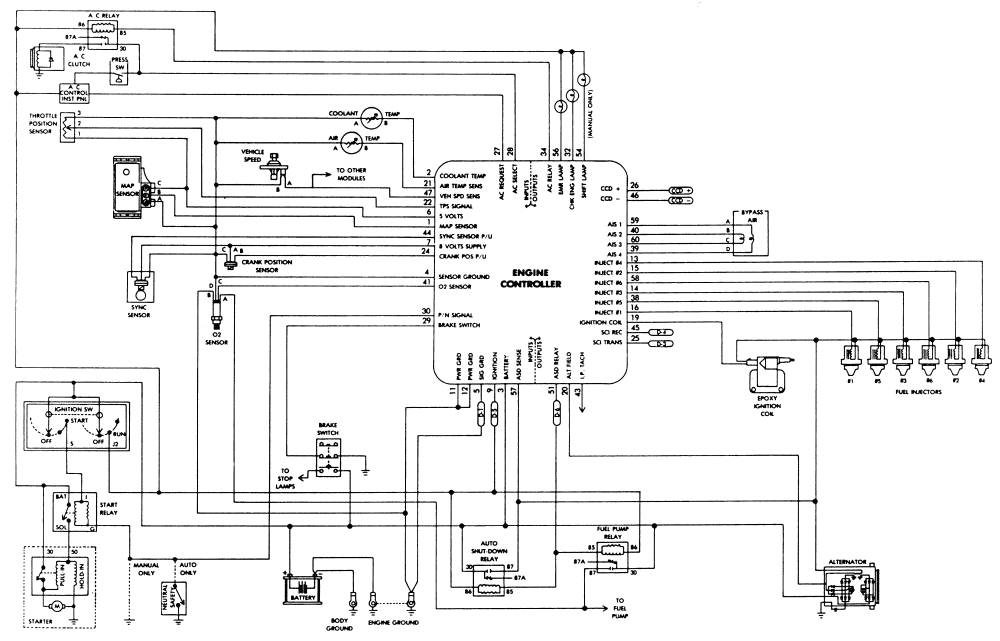 Wire Diagram 92 Jeep Wrangler - Complete Wiring Schemas