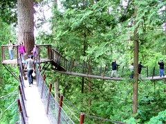 加拿大Treetops Adventure /無限台南