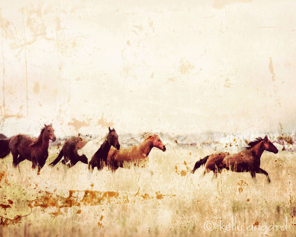 Horse Photograph, horse photography - 8x10 wild horses running photo, Colorado landscape, mountains nature, wall decor - kellya Horse Photograph, horse photography - 8x10 wild horses running photo, Colorado landscape, mountains nature, wall decor - kellya