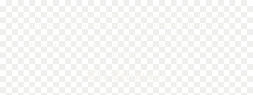The Best 27 Aesthetic Roblox Logo White - Florian Pernet