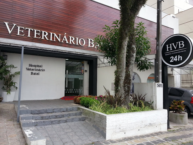 Rua Bruno Filgueira, 501 - Batel, Curitiba - PR, 80440-220, Brasil