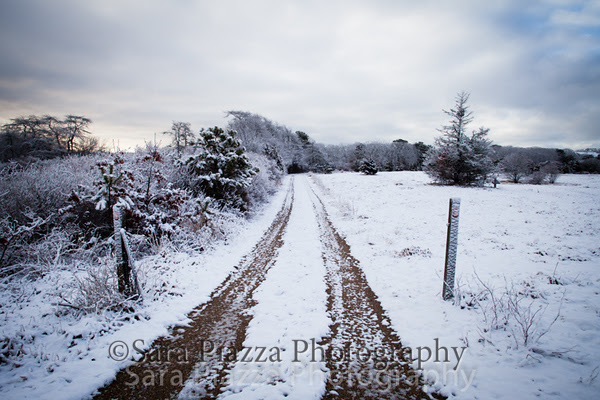Sweetened Water, Edgartown News, snow