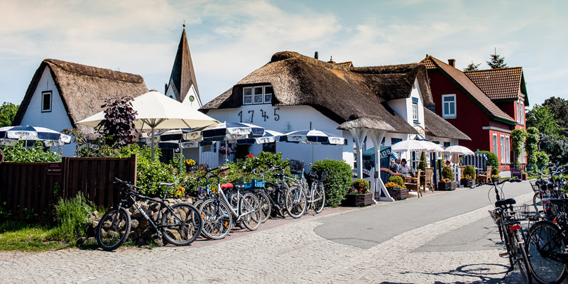 amrum ferienwohnung mit hund