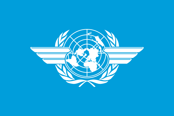 International Civil Aviation Organization (ICAO)