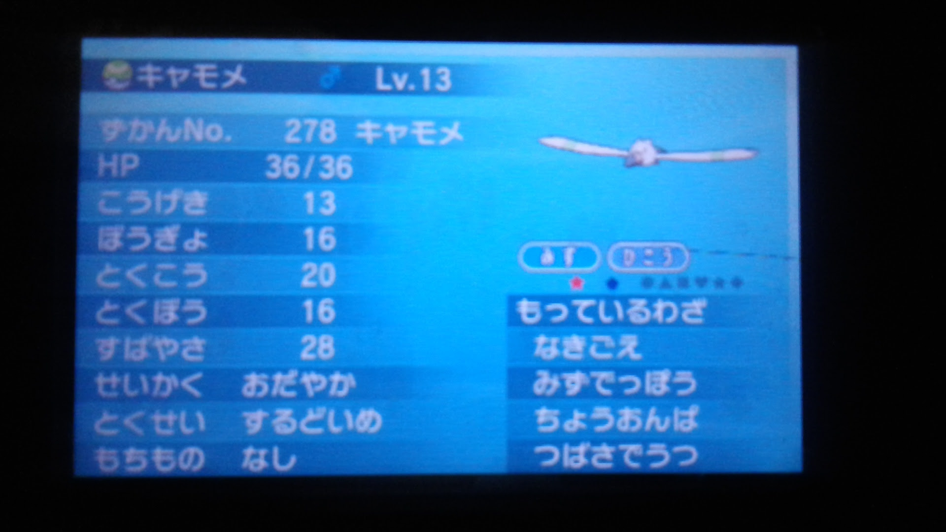 ポケモン サンムーン キャモメ 最高のイラストと図面