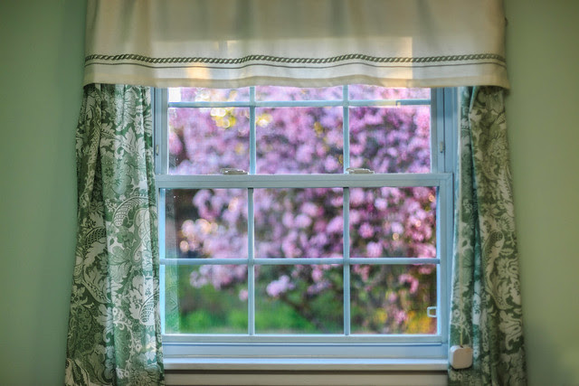Blossoms Out My Window