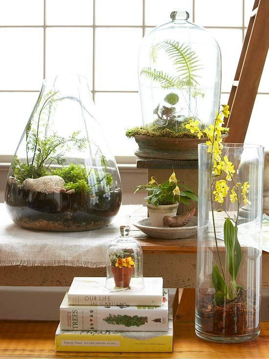Terrariums came of age with the Victorians and are enjoying a newfound resurgence, fueled in part by their affordability and the continued interest in all things gardening. "It's something everybody can do," says Tovah Martin, author of The New Terrarium and a lecturer who gives workshops on the subject across the country. "You can do it on a budget, do it with kids, do it with seniors."