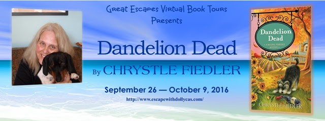 DANDELION DEAD BOOK TOUR large banner640