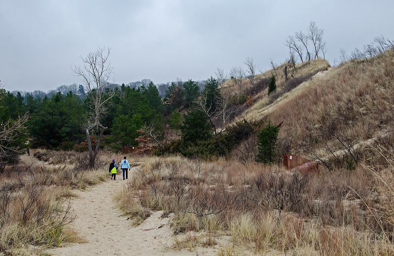 The Dunes Before the Snow