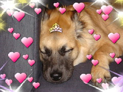 Princess Snick