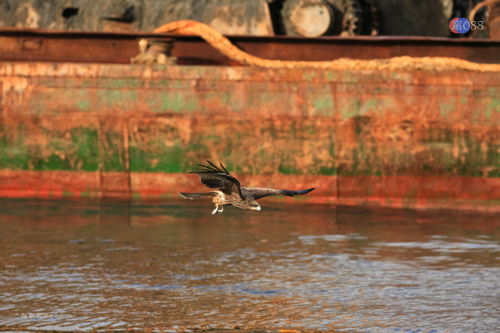 WATER_BING6900_LR
