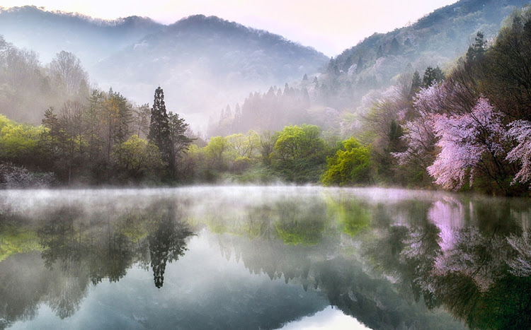 Spring In South Korea By Kim Suk Eun