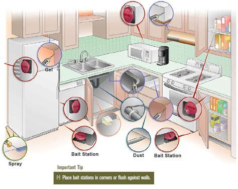 How to Get Rid of Roaches Without Calling a Pest Control Service? How to Get Rid of Roaches Without Calling a Pest Control Service?