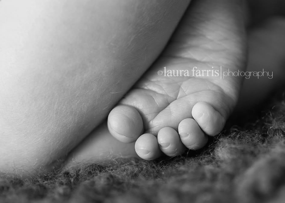 newborn photographer boise