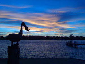 bronze Pelican
