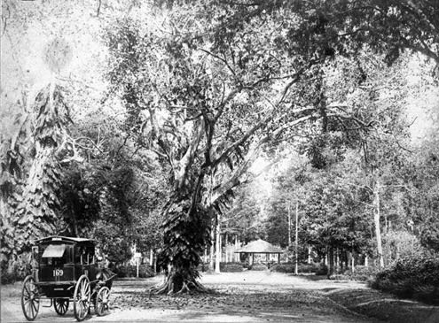 Vườn Bách thảo Sài Gòn (1890).