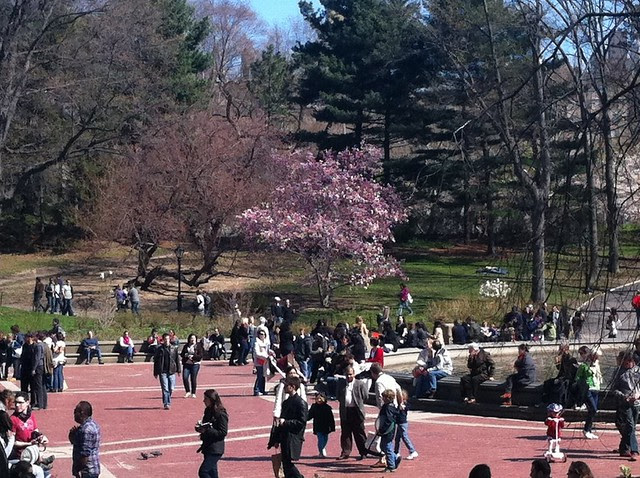 A Scene from April