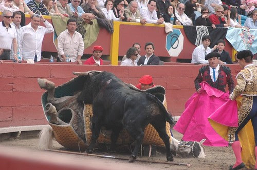 Tumbo