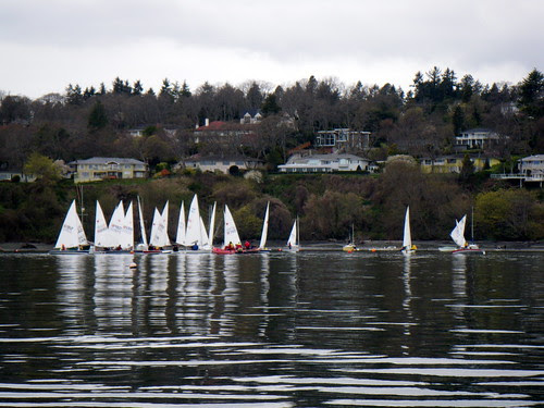 IMGP1067