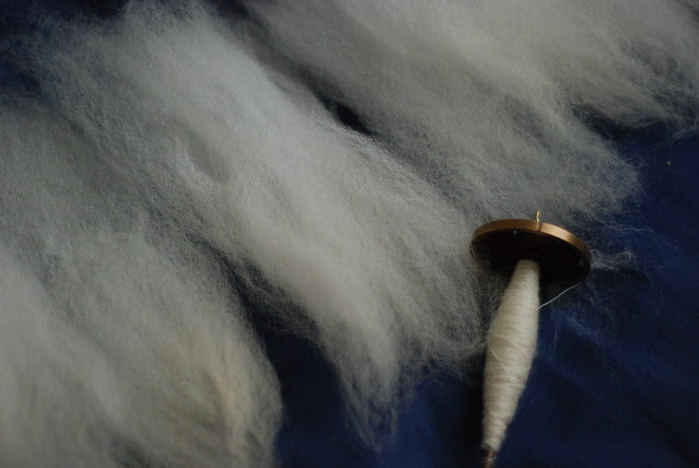 Flicked locks of Romney shearling wool being spun into laceweight yarn